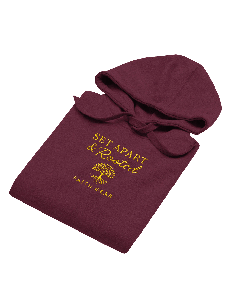 Set Apart & Rooted Embroidered Branded Hoodie (Dark Colors) product image (15)