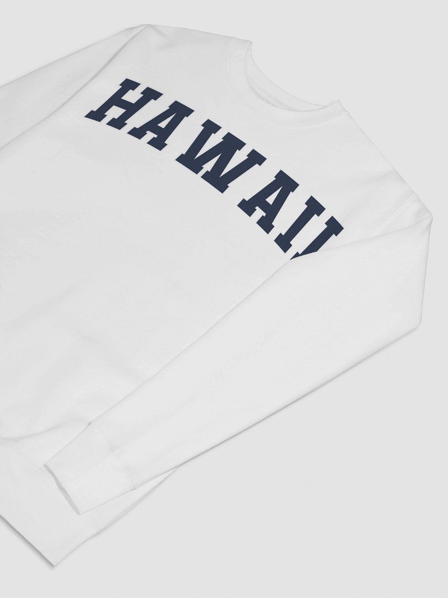 Hawaii Vintage Stylish Premium Sweatshirt product image (68)