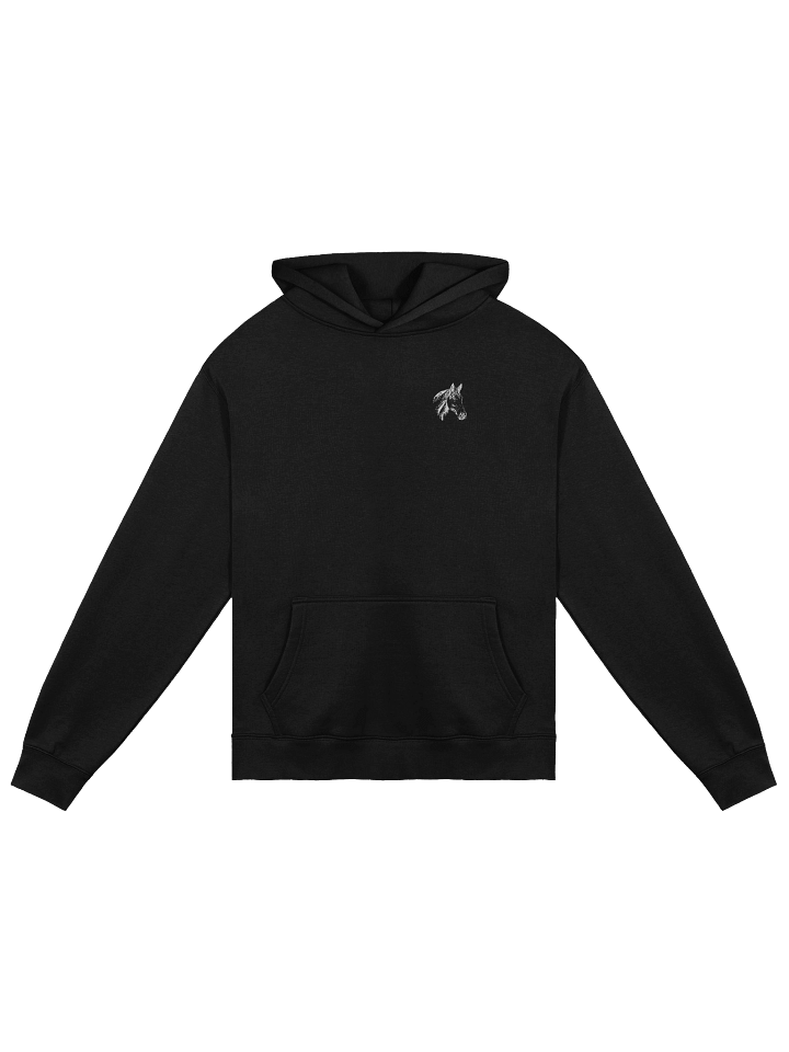 Sanctuary Hoodie product image (1)