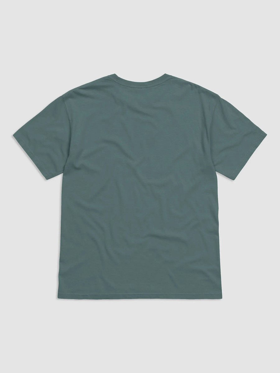 Comfort Colors Garment-Dyed Heavyweight T-Shirt by Comfort Colors product image (19)