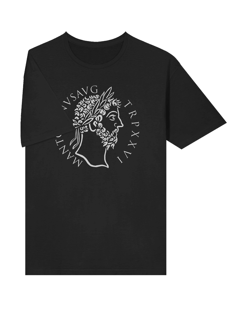 Marcus Aurelius Aureus product image (23)
