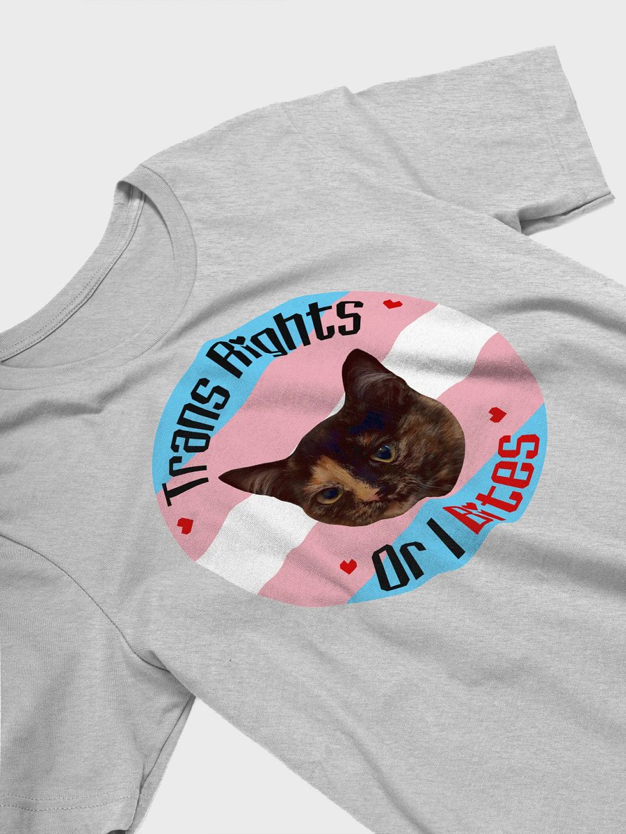 Trans Rights or I Bites Tee product image (15)