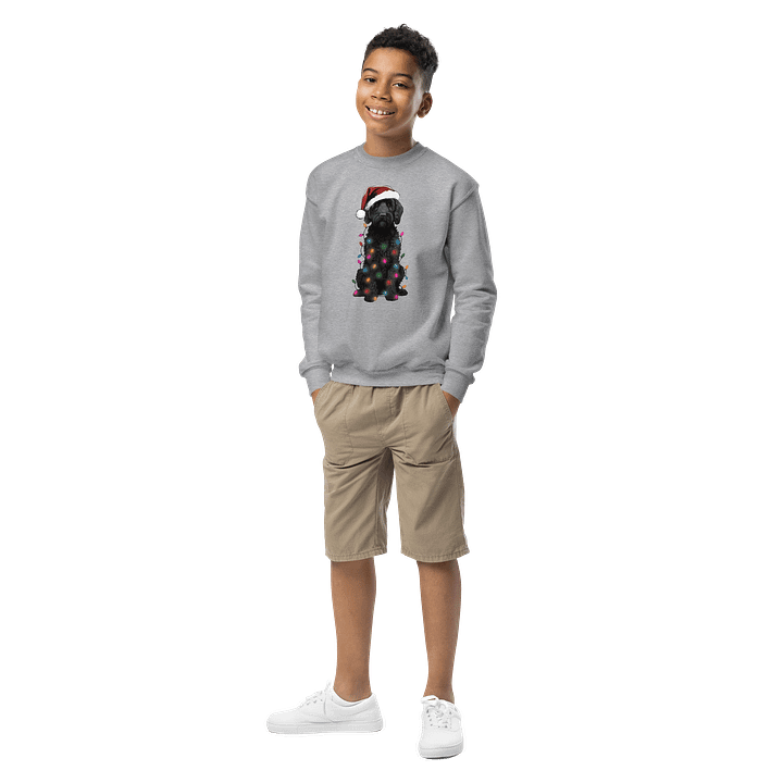 Funny Christmas Labradoodle(Black) Youth Sweatshirt product image (5)