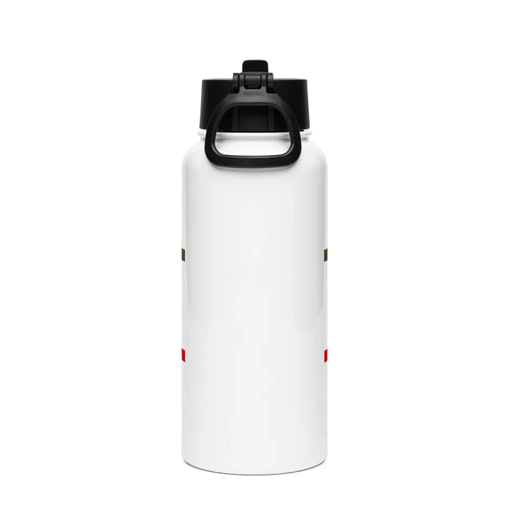 insulated water bottle product image (2)