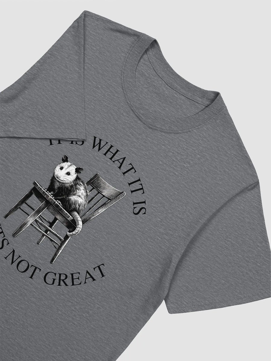 It Is What It Is T-Shirt product image (3)