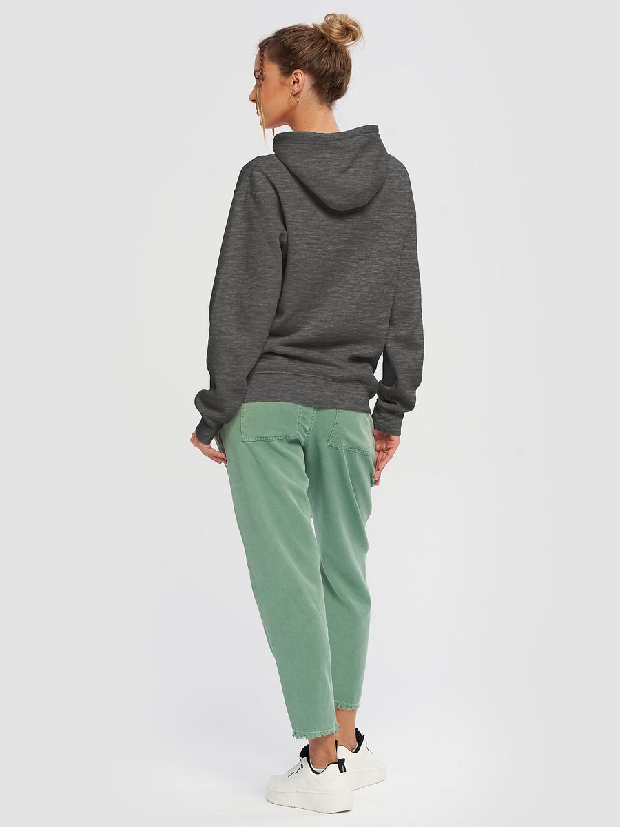 Cozy Comfort Blessed Hoodie product image (36)