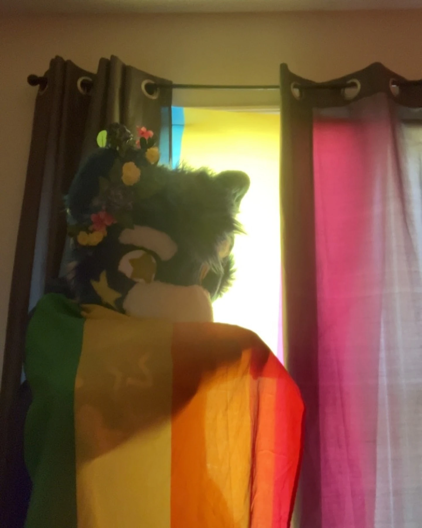 Happy fa- flag day happening on a fursuit Friday so you know I had to show off some flags 🏳️‍🌈💅
🦝✨

🌟 Check out my website(li...