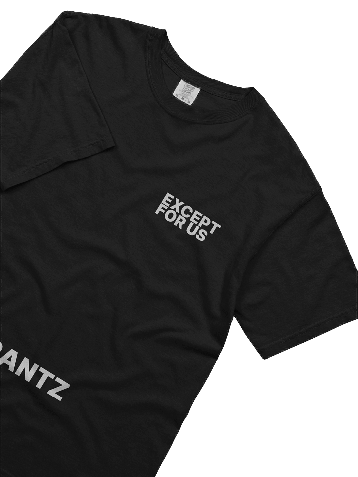 Except For Us Basics Tee product image (2)