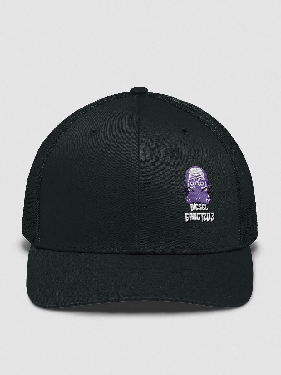 Diesel Gang Richardson 112 Hat product image (1)