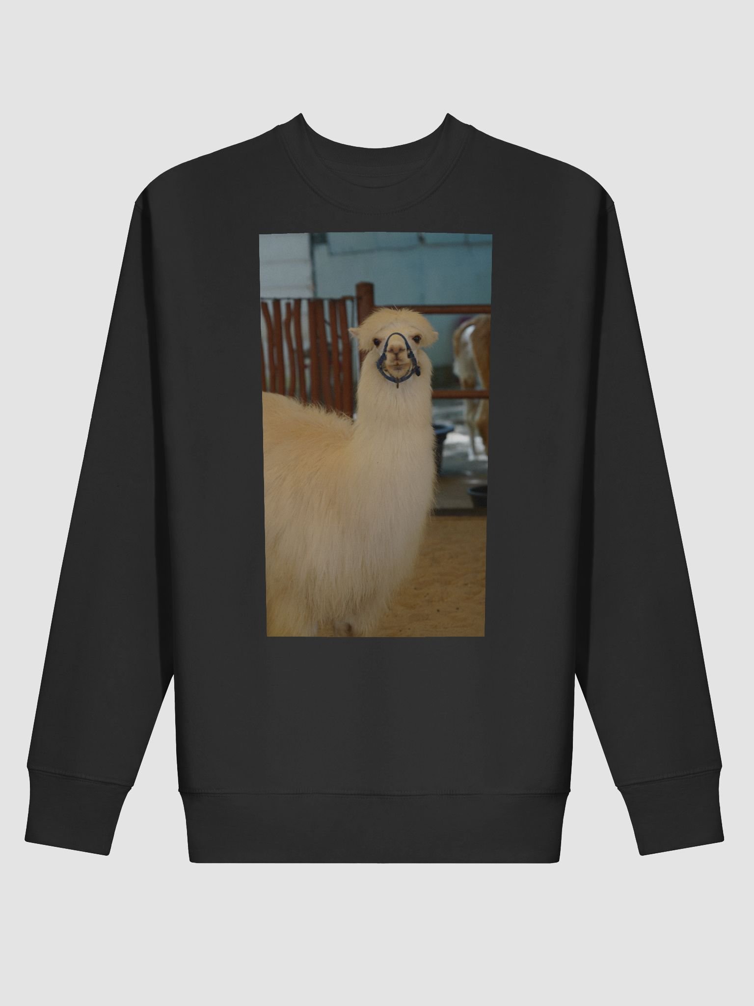 Andean Adventure Premium Sweatshirt product image (2)