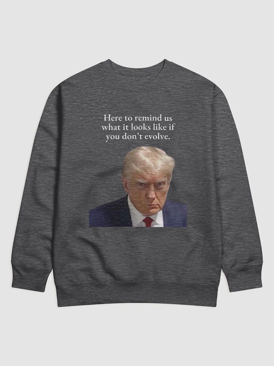 Here to remind us... Premium Sweatshirt product image (5)