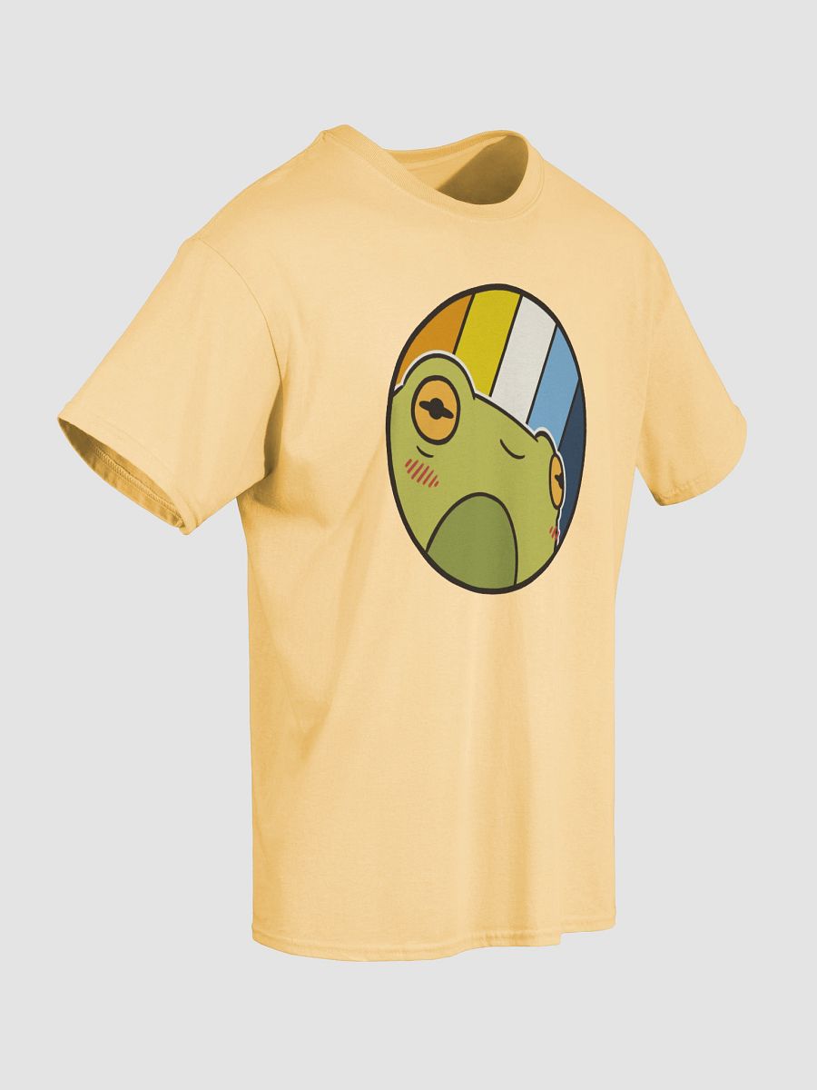 t-shirt : froge aroace product image (3)