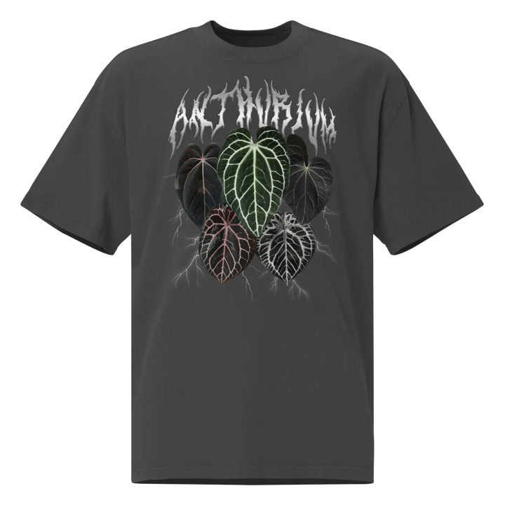 Anthurium Band Tee (Oversized) product image (1)