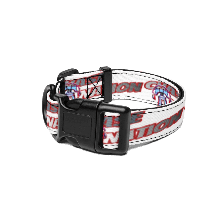 Quit Strayin' Pet Collar product image (1)