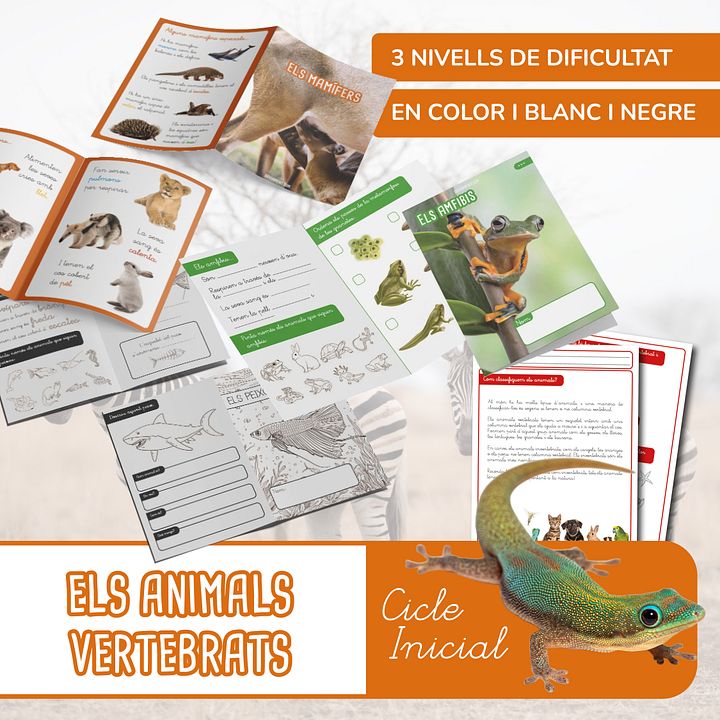 Els animals vertebrats product image (1)