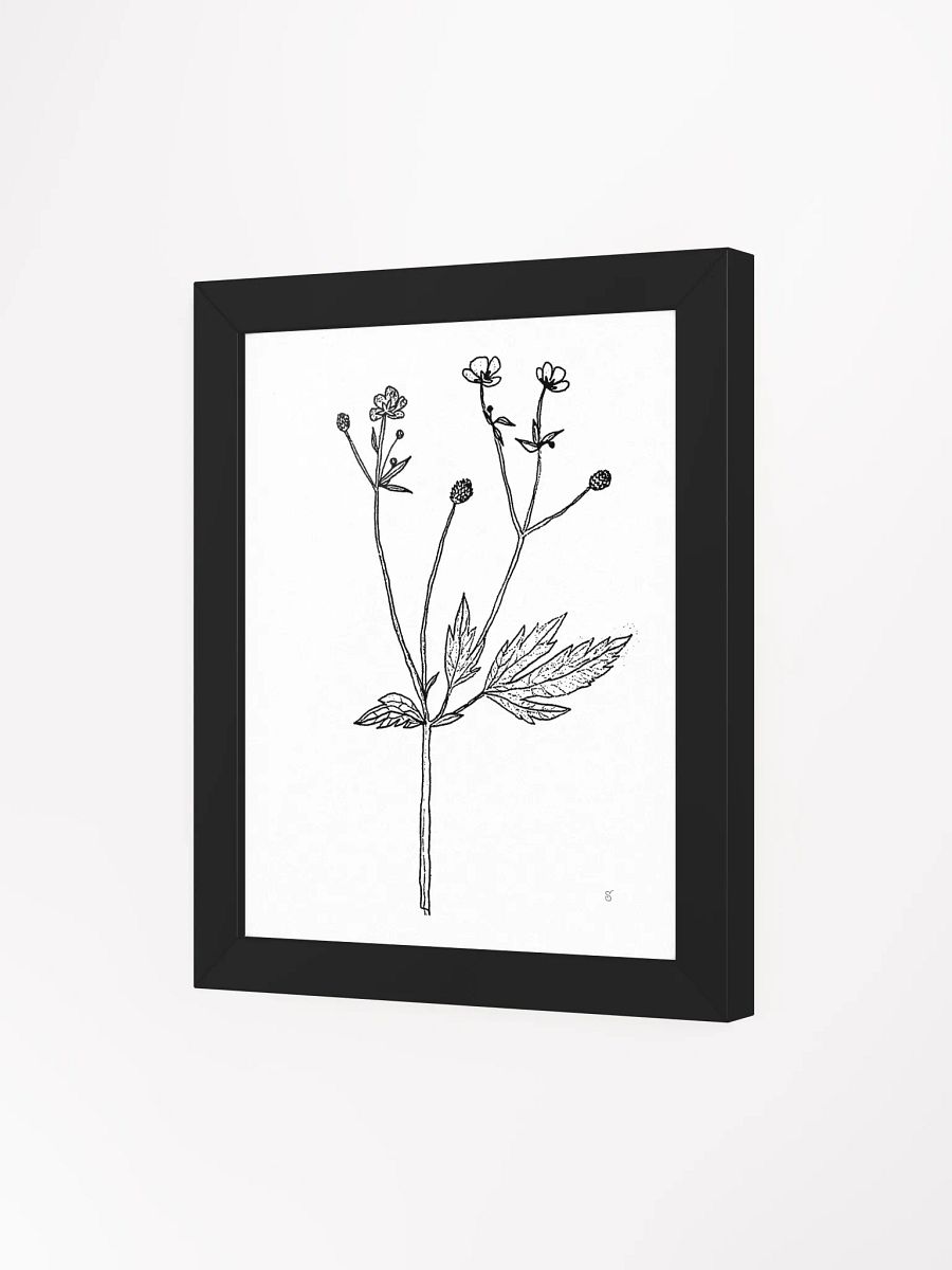 Botanical Bliss Framed Matte Poster - Wild Flowers product image (7)