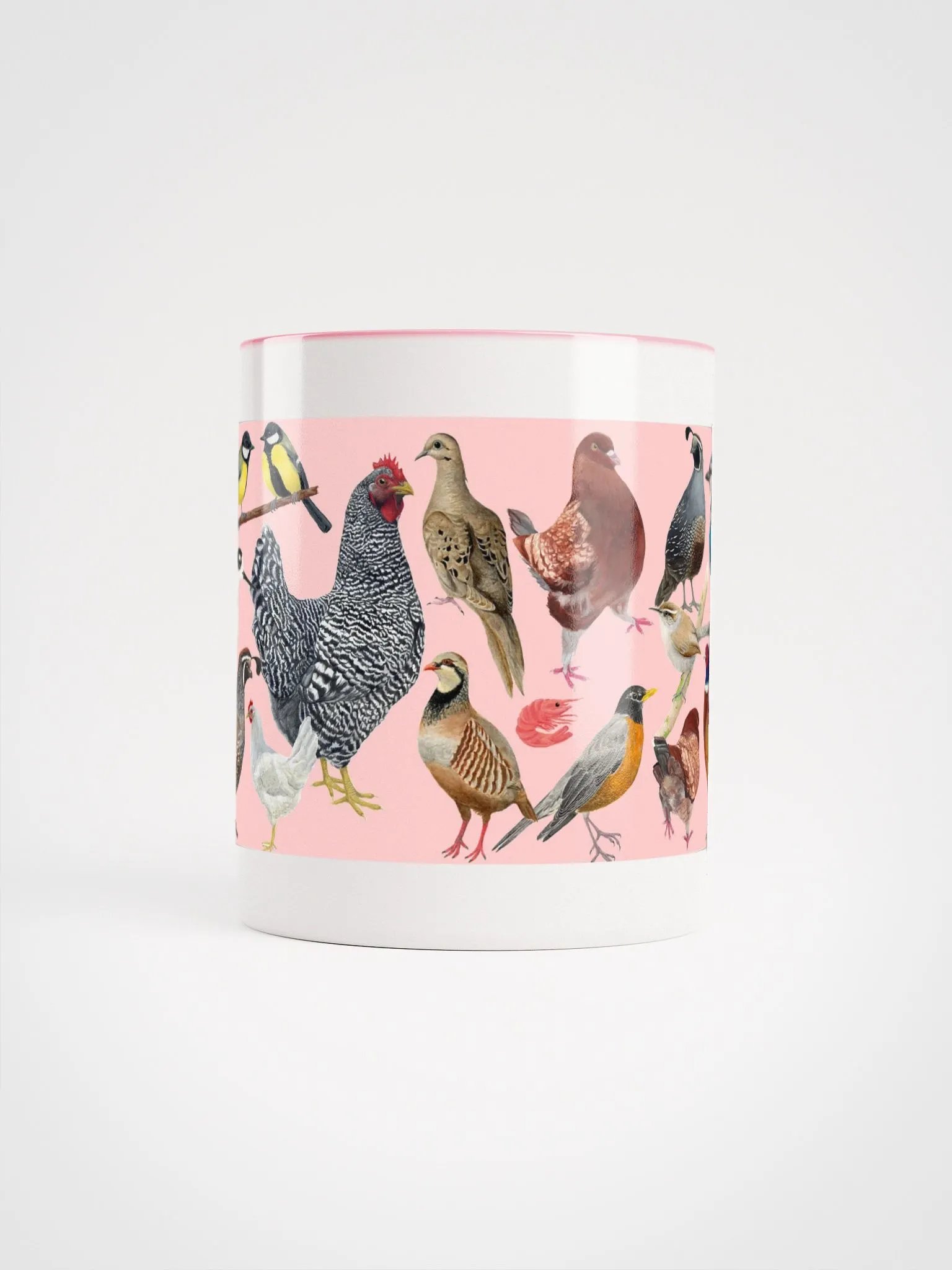 BIG OL' MUG O' BIRDS product image (62)