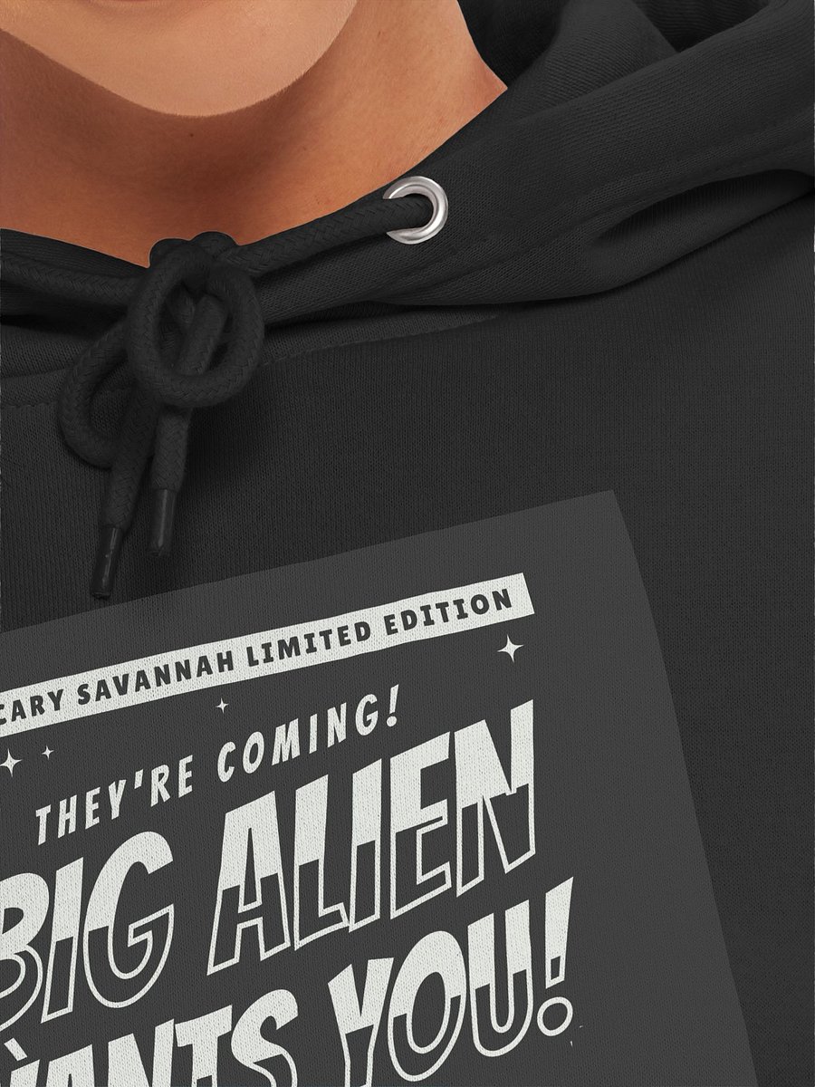Big Alien Wants You! Hoodie product image (44)