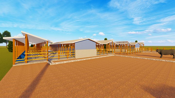 70 Dairy Cows Design Plan product image (1)