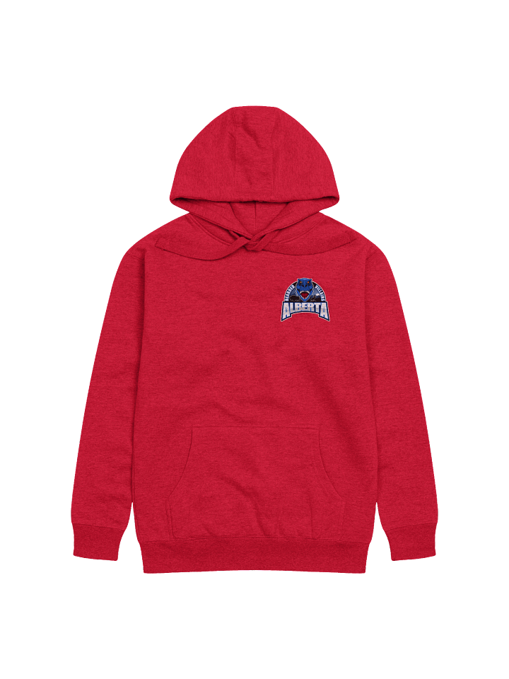 Veterans support hoodie product image (6)