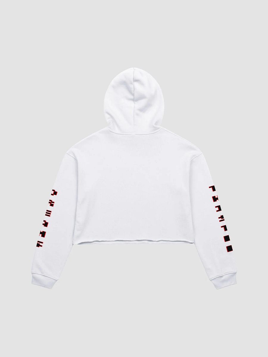 TDI3 Crop Hoodie product image (27)