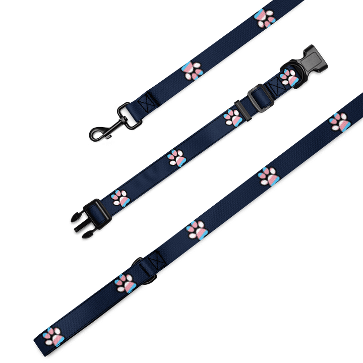 Trans Paw Print Leash & Collar Set product image (2)