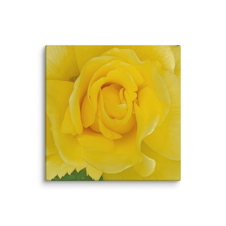 Sunshine Rose Canvas product image (17)