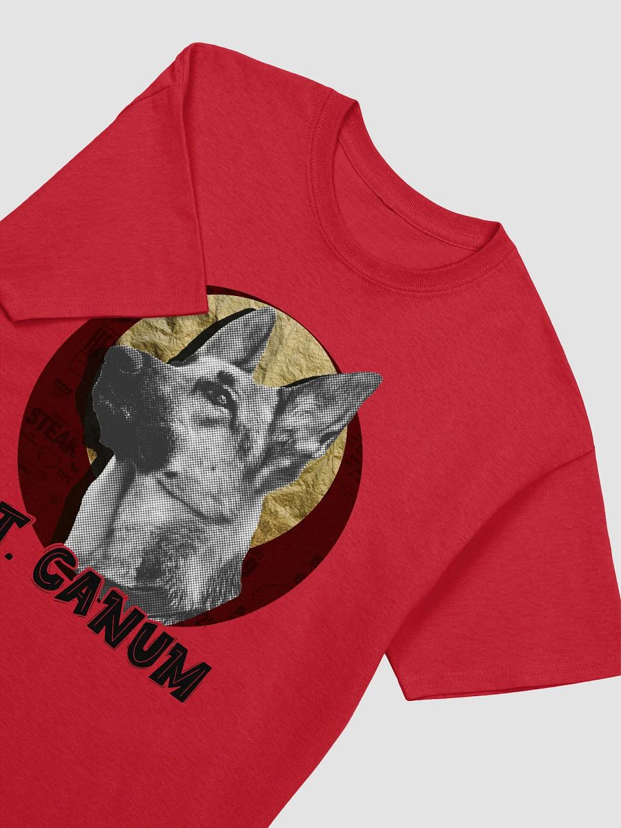 St. Canum Tee (Extended Sizing) product image (15)