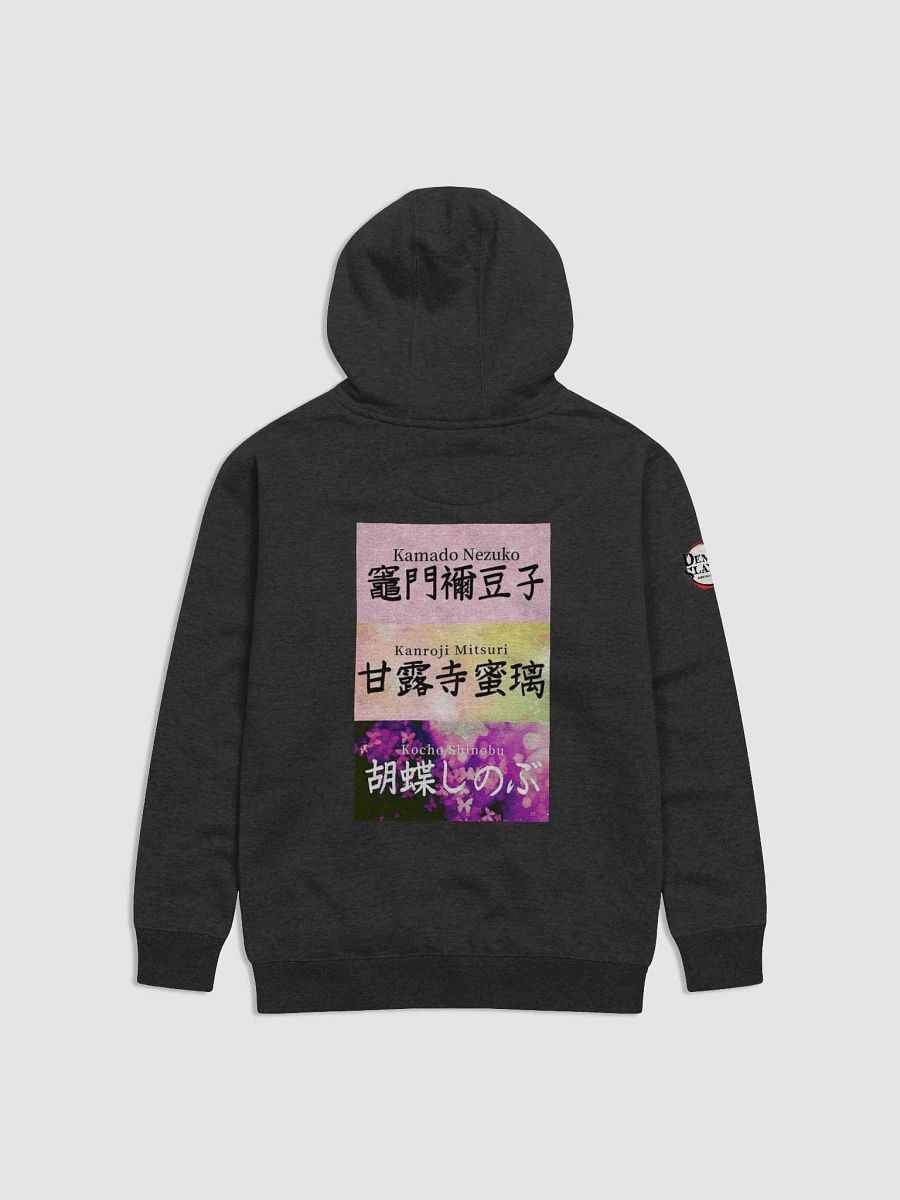 DS product image (2)