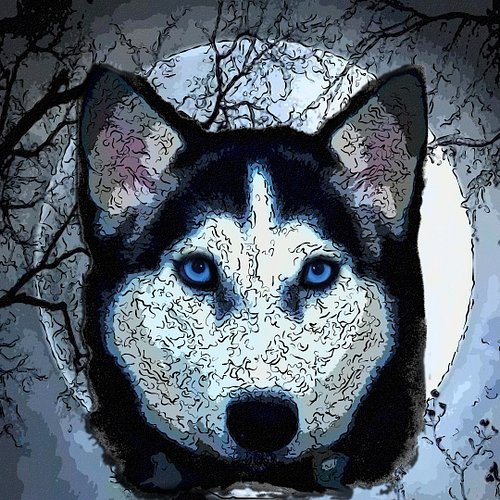 Husky Moon new artwork by Shadowlight Imaging Studios
#husky ,#huskylove ,#huskypuppy ,#huskylife