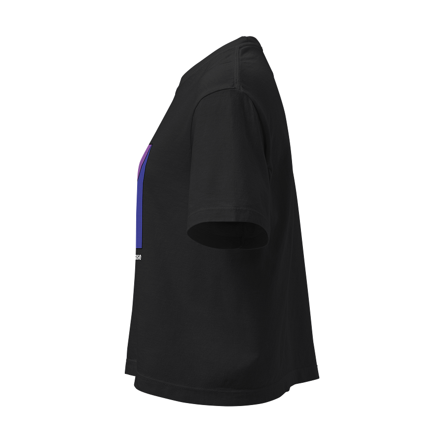 It's Not Just a Phase- Bi Shirt product image (3)