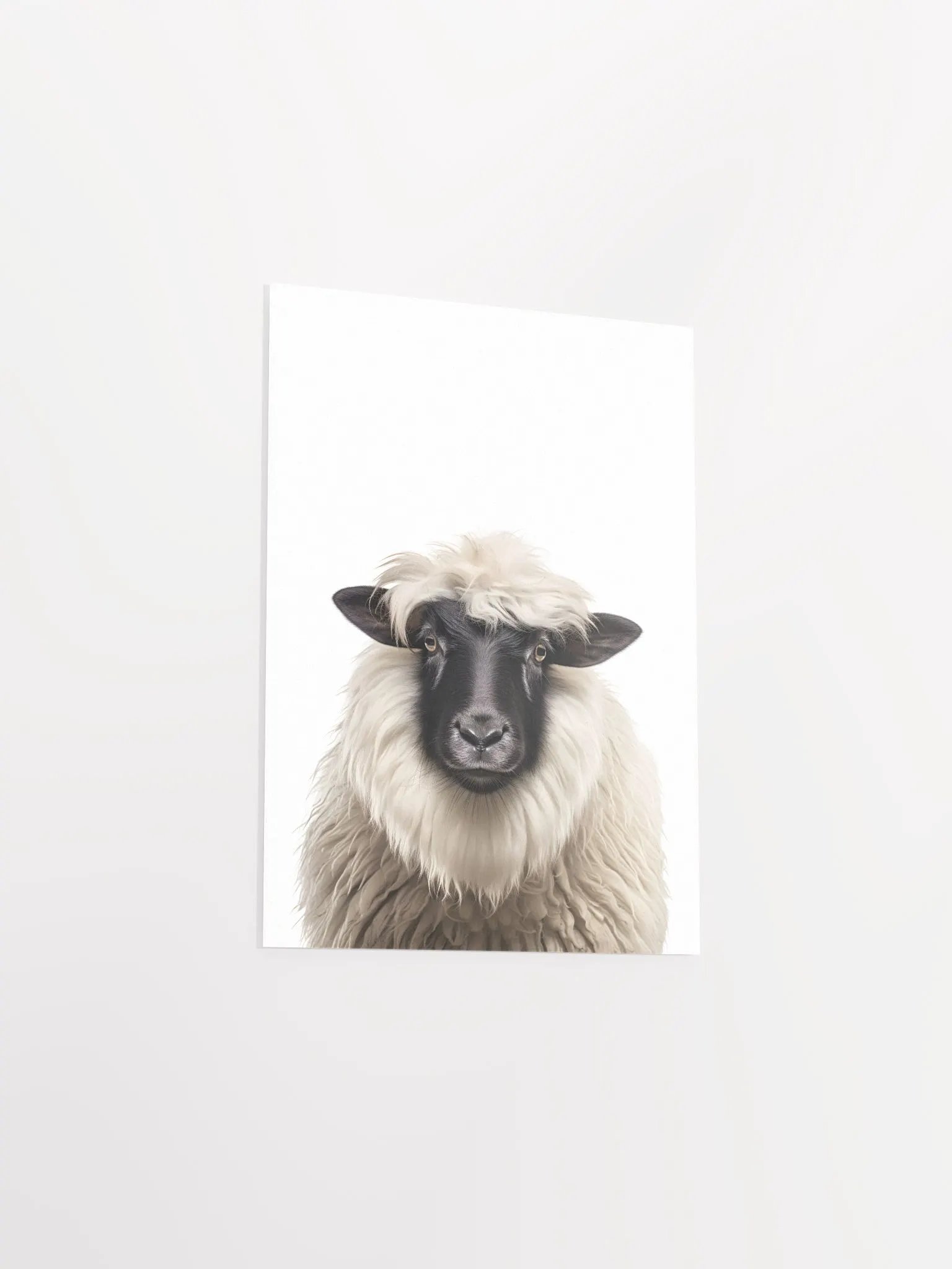 Cute Fluffy Sheep product image (5)