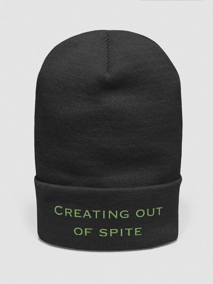 Creating out of Spite product image (1)