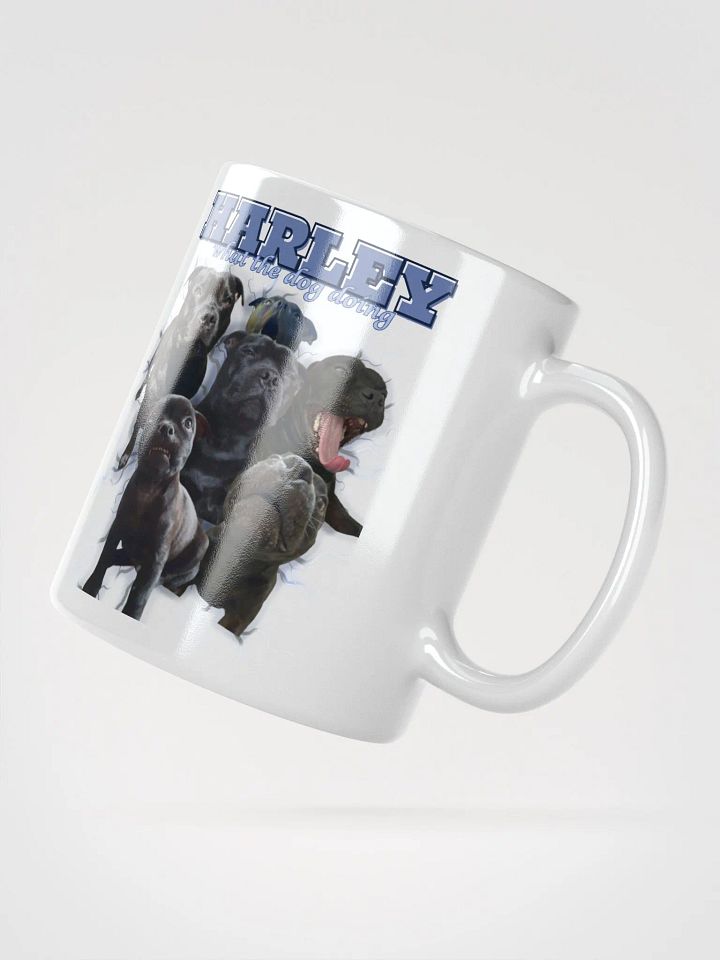 Harley's Mug Shot?! product image (2)