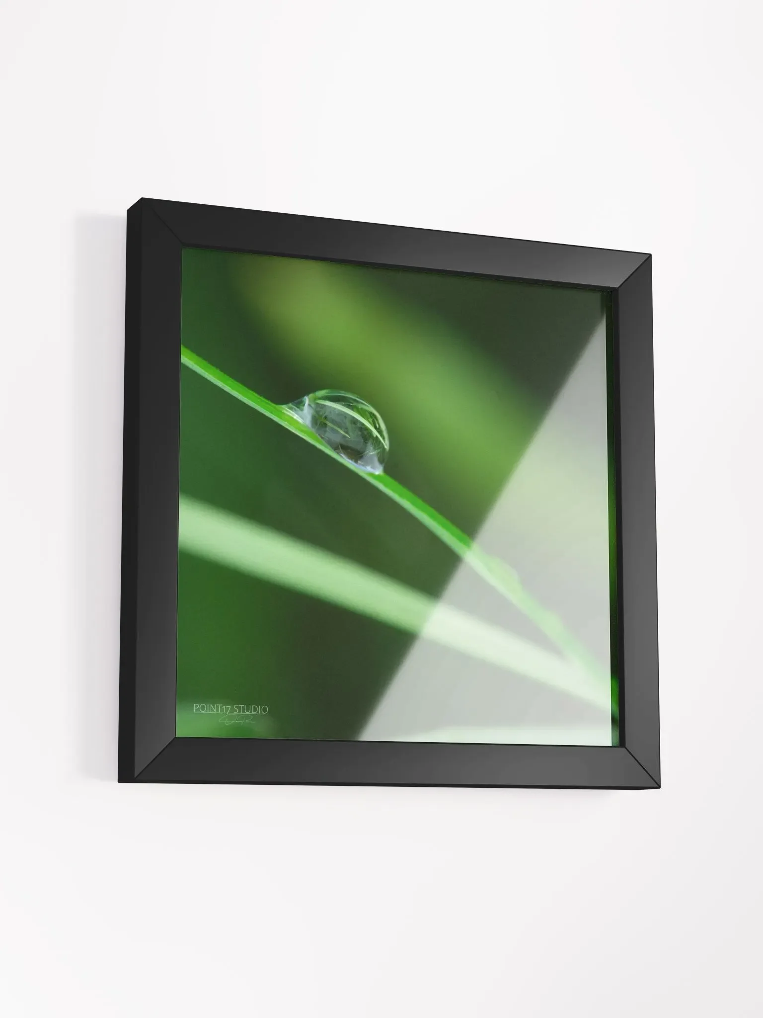 Dew Gems #6 - Framed Print product image (3)