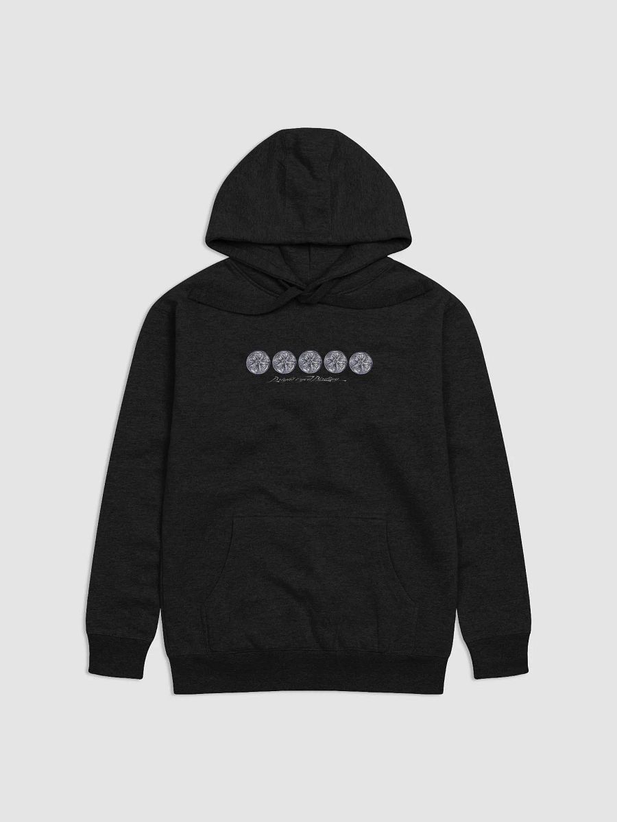 Flock 1 - Brewer's Blackbird Hoodie product image (1)