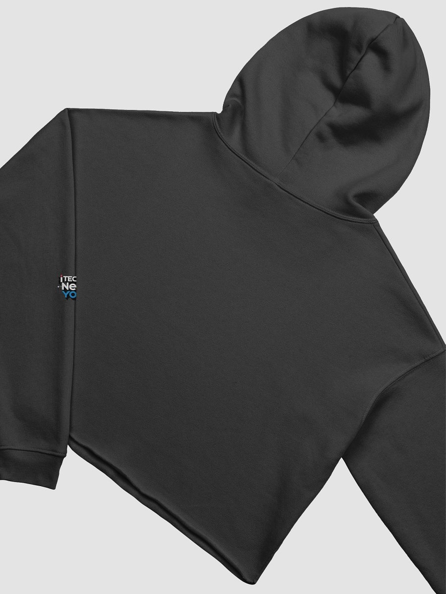 iTechNewYork Nombre + Circle Logo Cropped Hoodie product image (4)