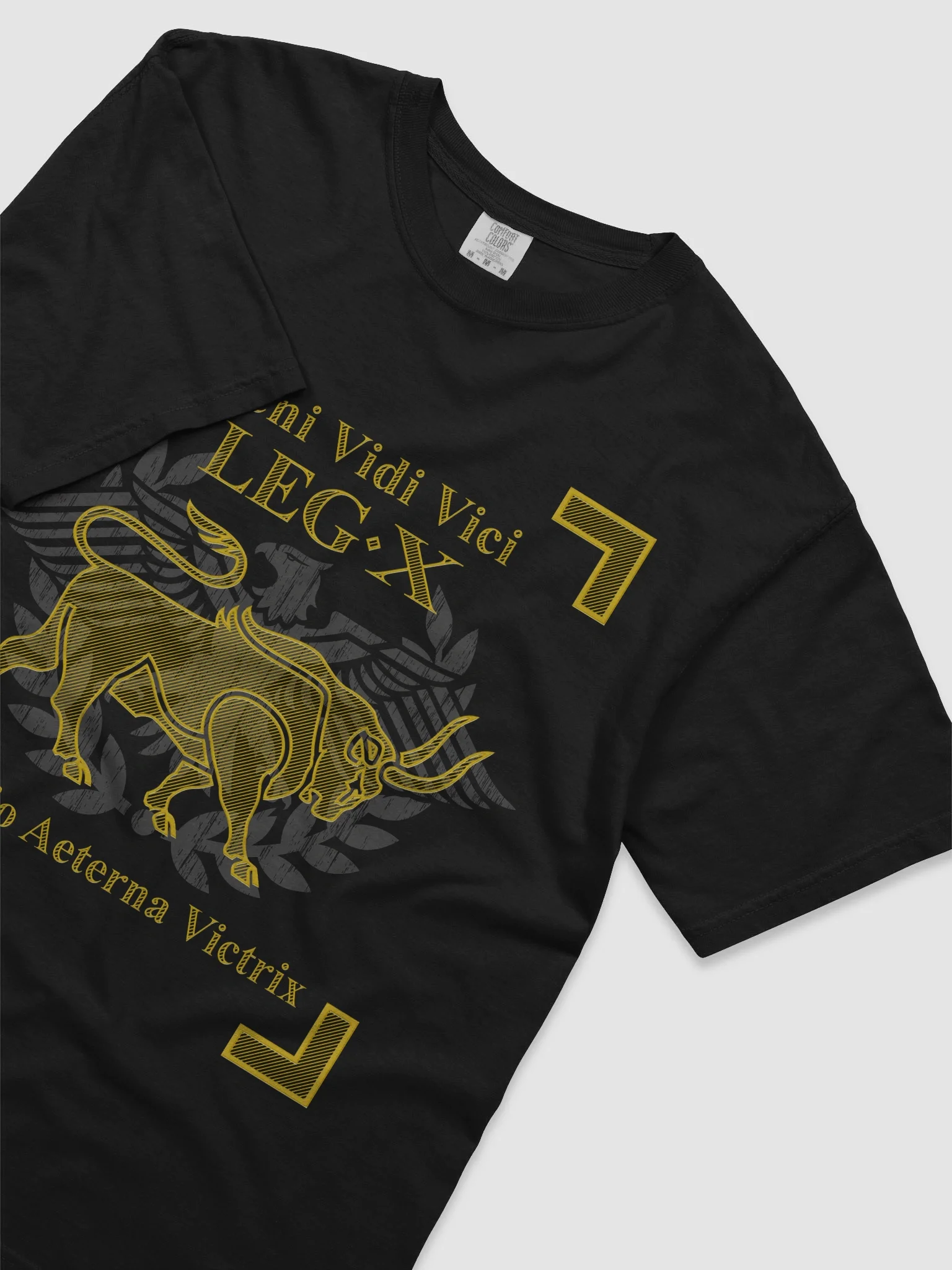 Legion X - veni vidi vici product image (1)