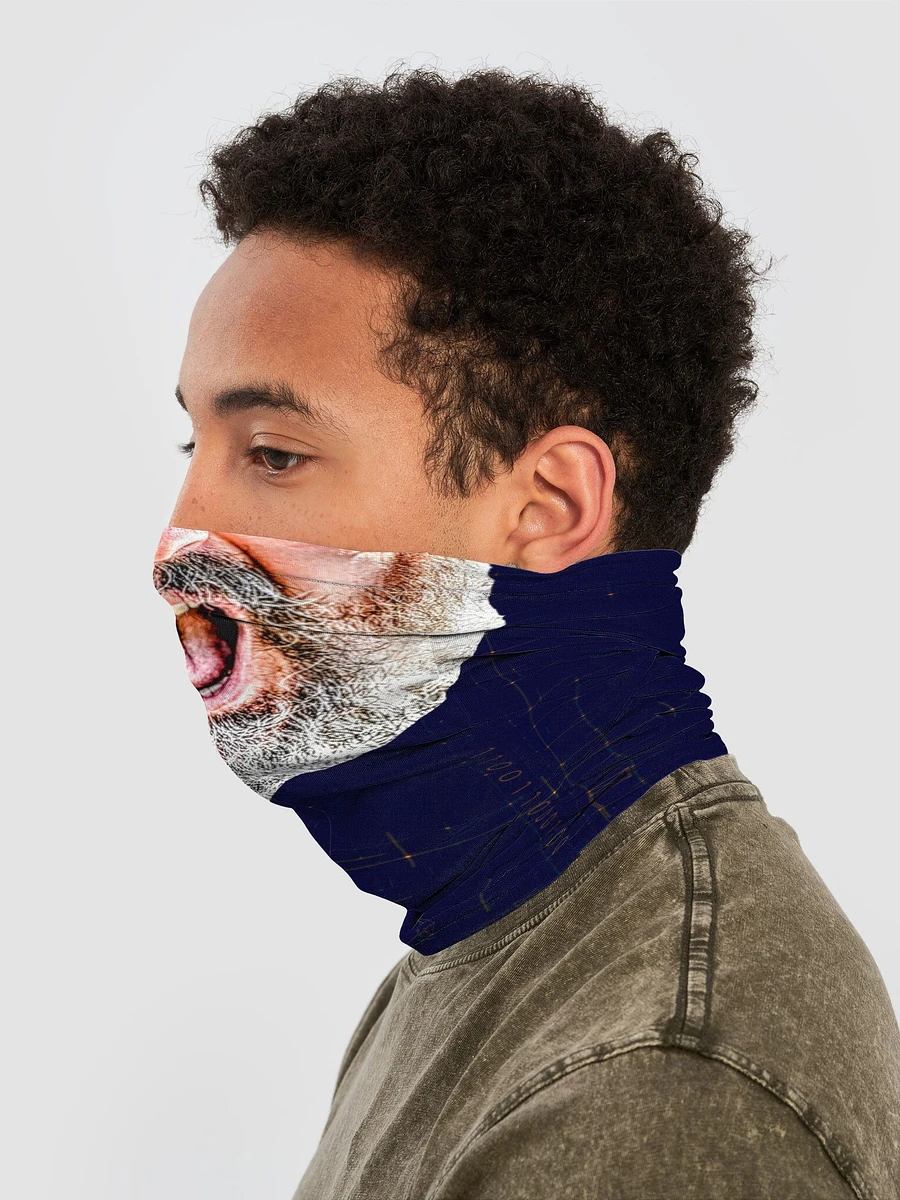 Dan beard mask product image (3)