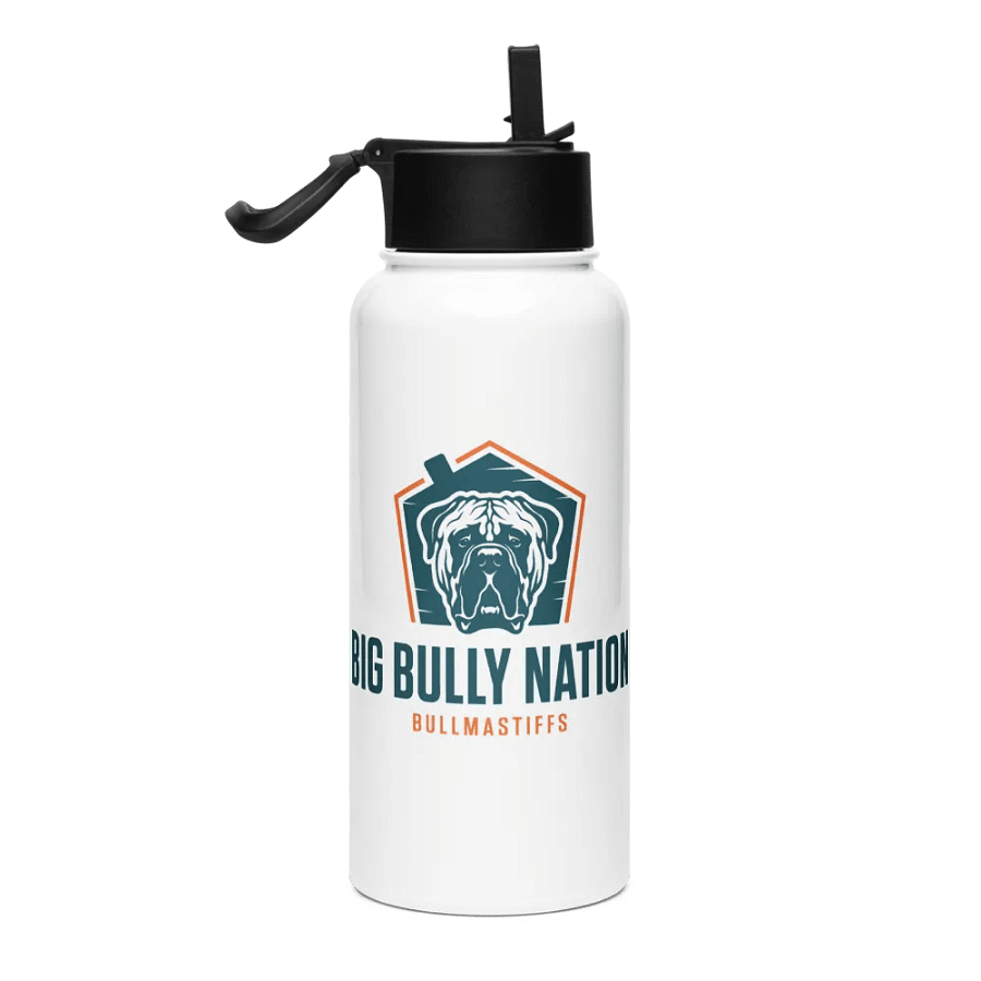 BBN Stainless Steel Water Bottle product image (4)