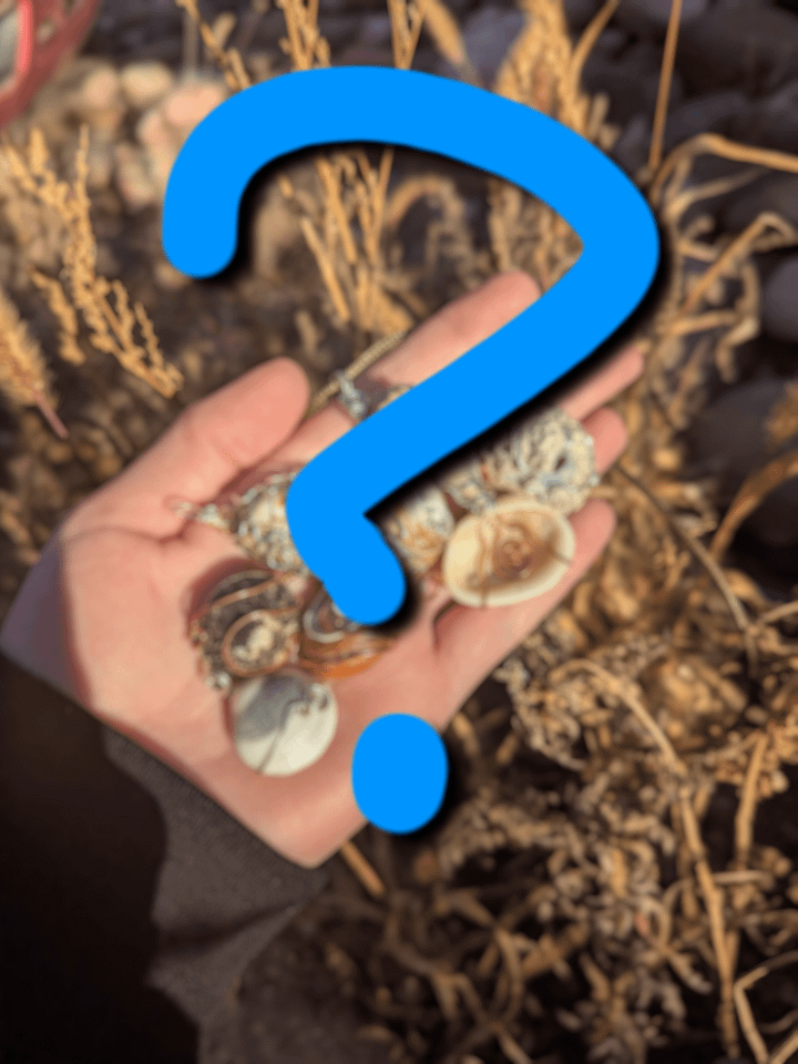 Mystery Seashell Necklace product image (1)