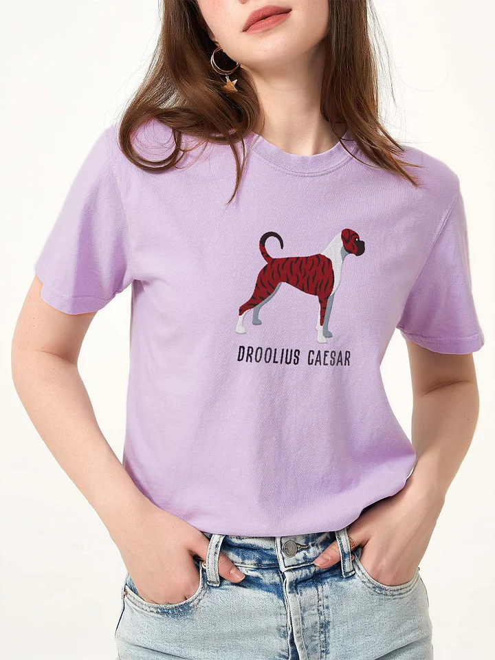 Droolius Caesar T-Shirt(Embroidered) of a Boxer(Brindle & White) product image (2)
