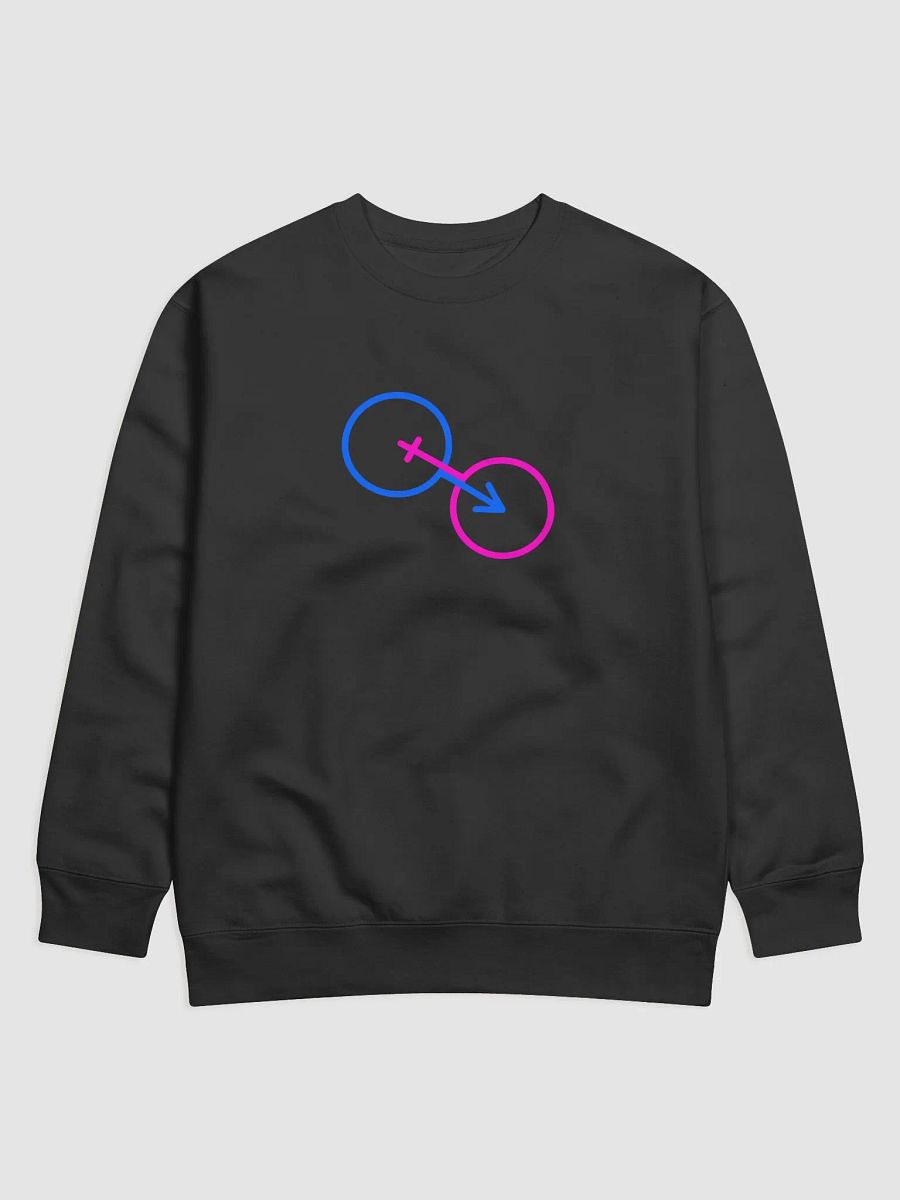 Traditional Gender Symbols Unity Sweatshirt product image (4)