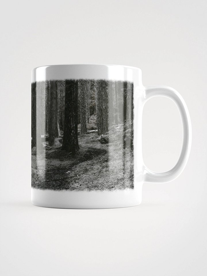 Hiking in the Buckhorn Wilderness Mug product image (1)