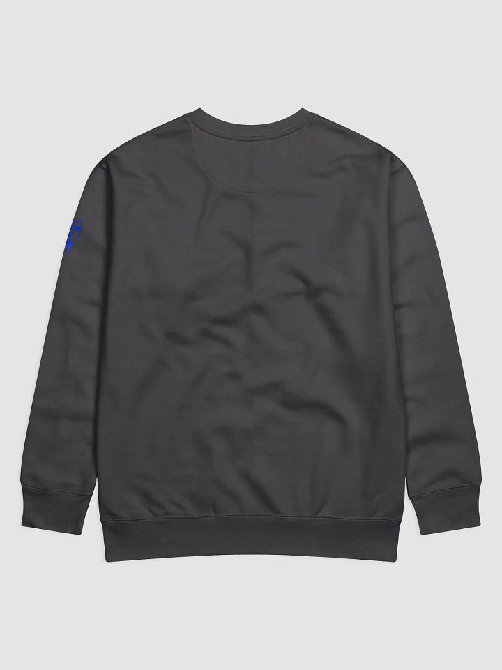 Bat Guy Grappling in the Rain Premium Sweatshirt product image (16)
