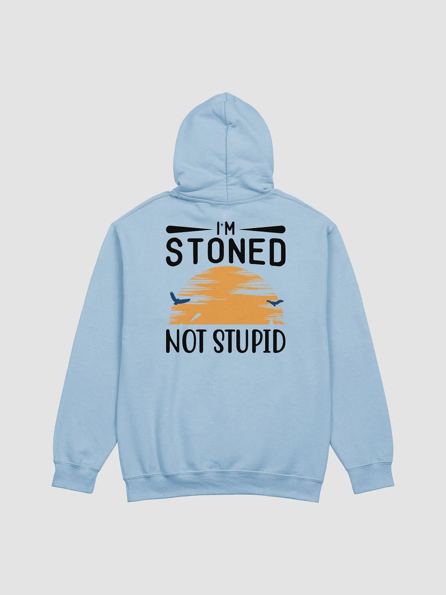 Sunset Im Stoned, Not Stupid Hoodie front and back product image (4)