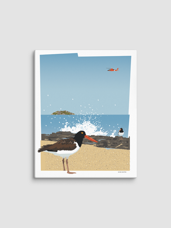 Oyster Catchers product image (2)