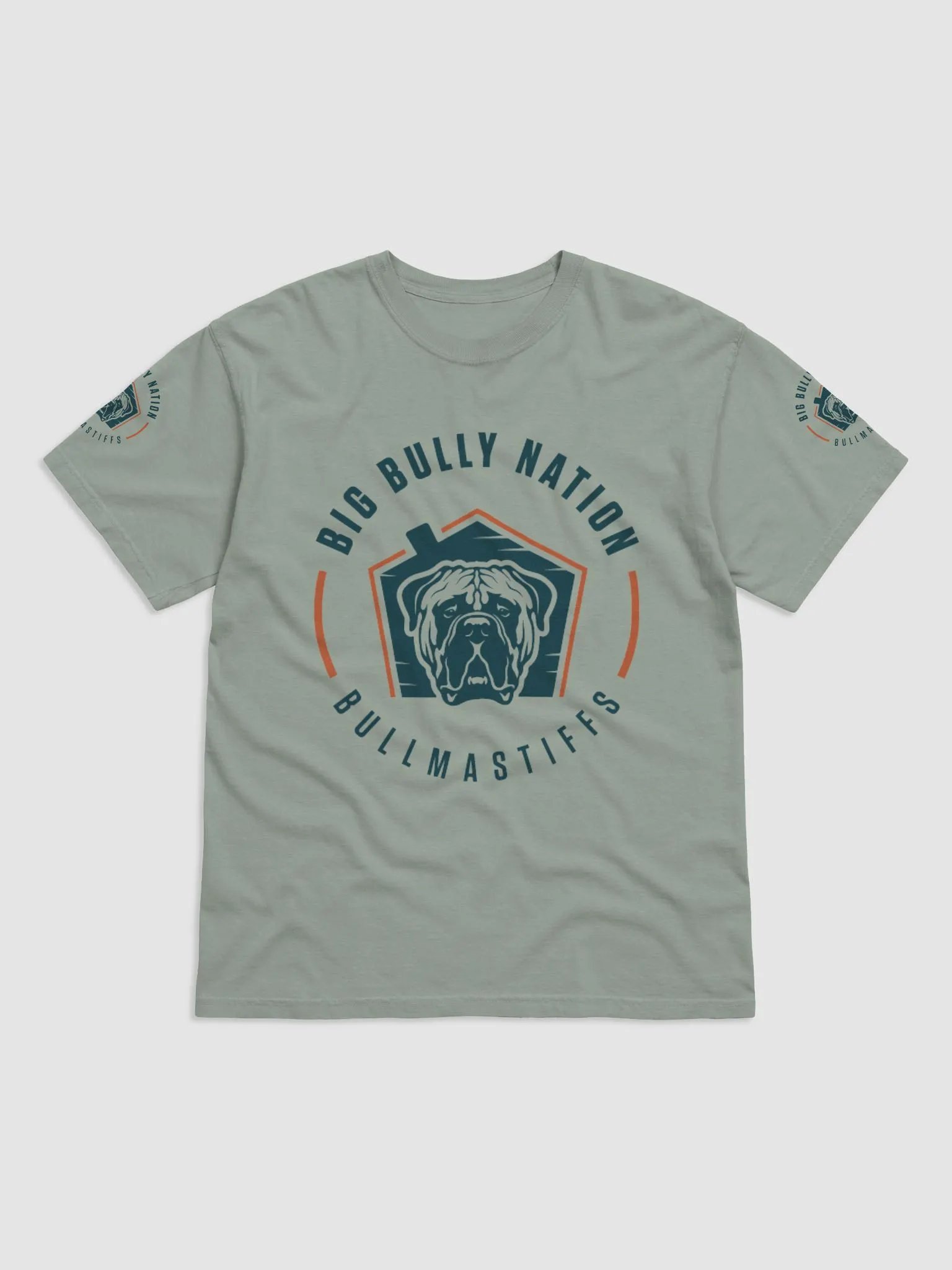 BBN Logo 2 Comfort T-Shirt product image (1)