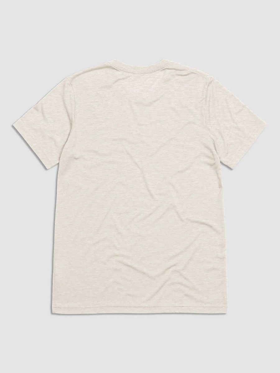 Be an Ally, Ride Rollercoasters (Light - Tri-Blend) product image (2)