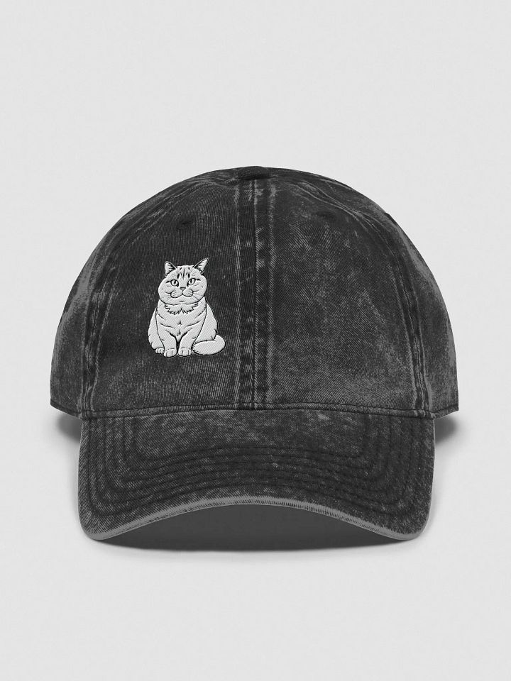 Blue-Eyed Tabby Cat Vintage Dad Hat product image (4)